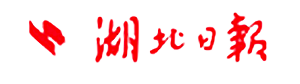 湖北日报｜湖北上线楼盘“体检平台” 施工进度、预售许可一屏可查