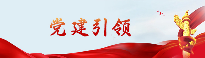 28圈
